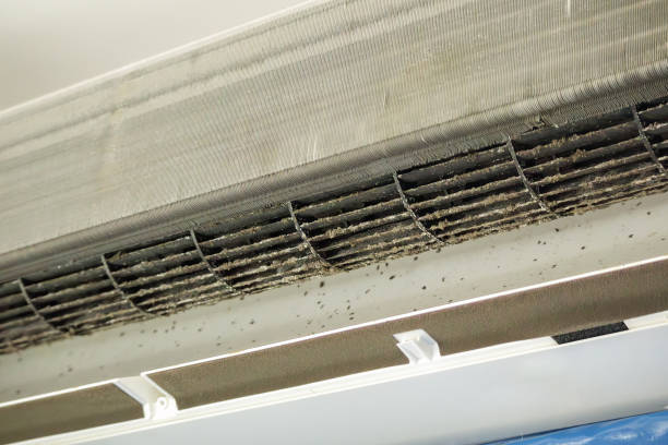 Best Air Vent Cleaning Services  in Fort Pierre, SD